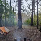 Review photo of Boise Brule Campground — Brule River State Forest by Amy G., October 3, 2024