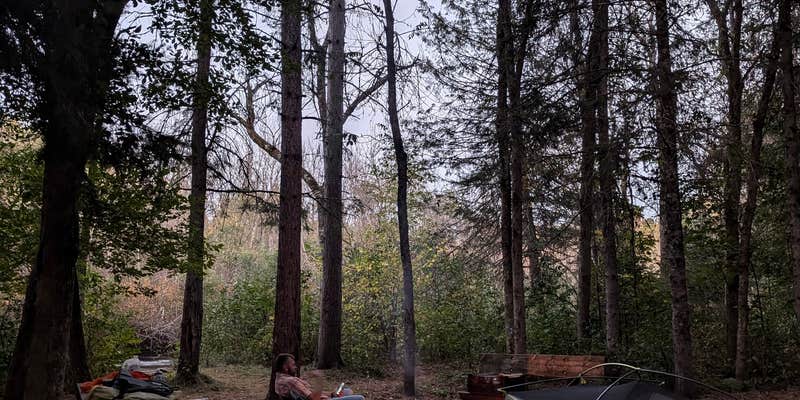 Camper submitted image from Boise Brule Campground — Brule River State Forest