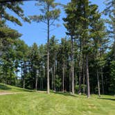 Review photo of Clear Lake City Park by Tori K., June 19, 2025