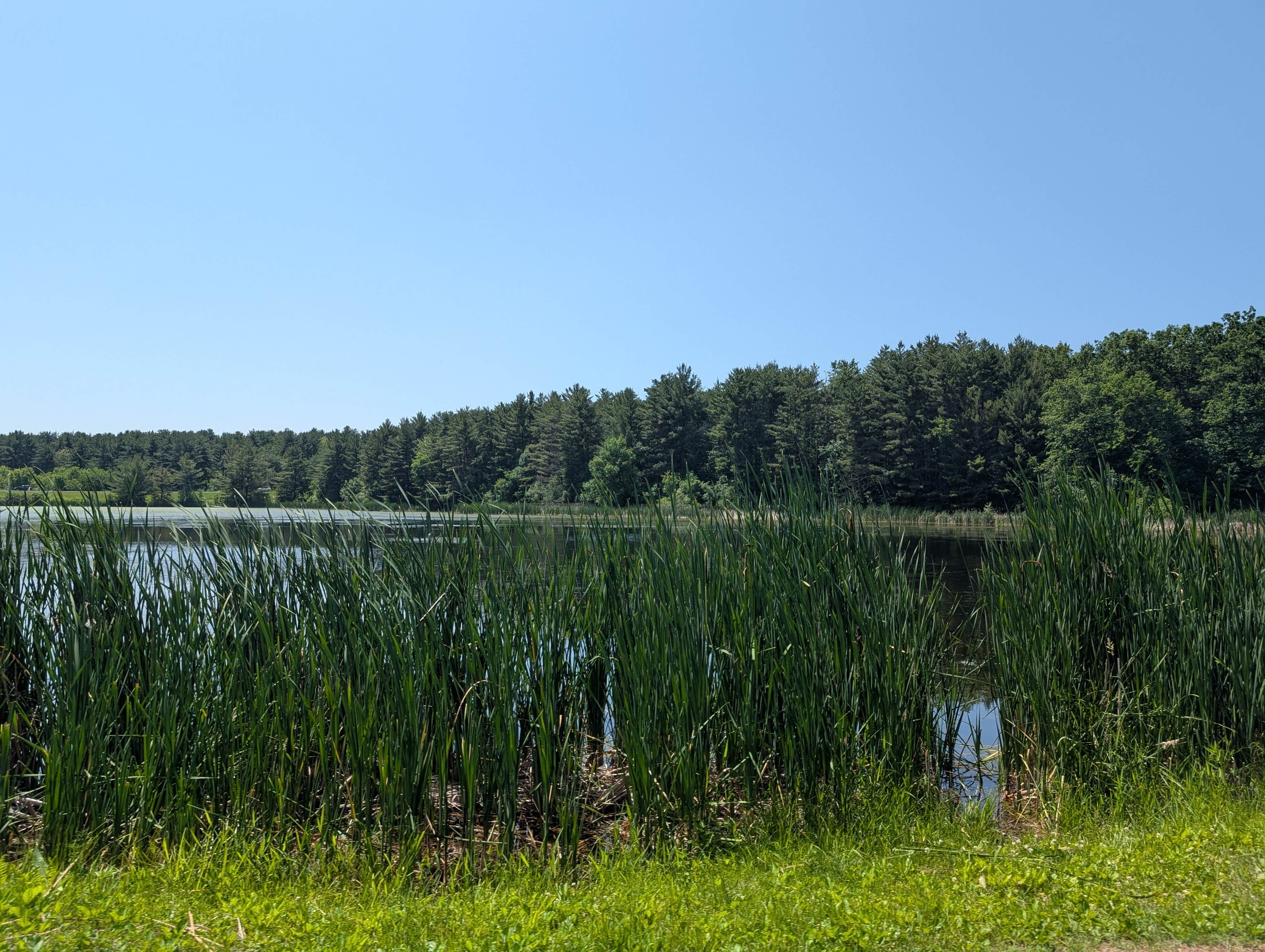 Camper-submitted photo at Clear Lake City Park near Amery, WI