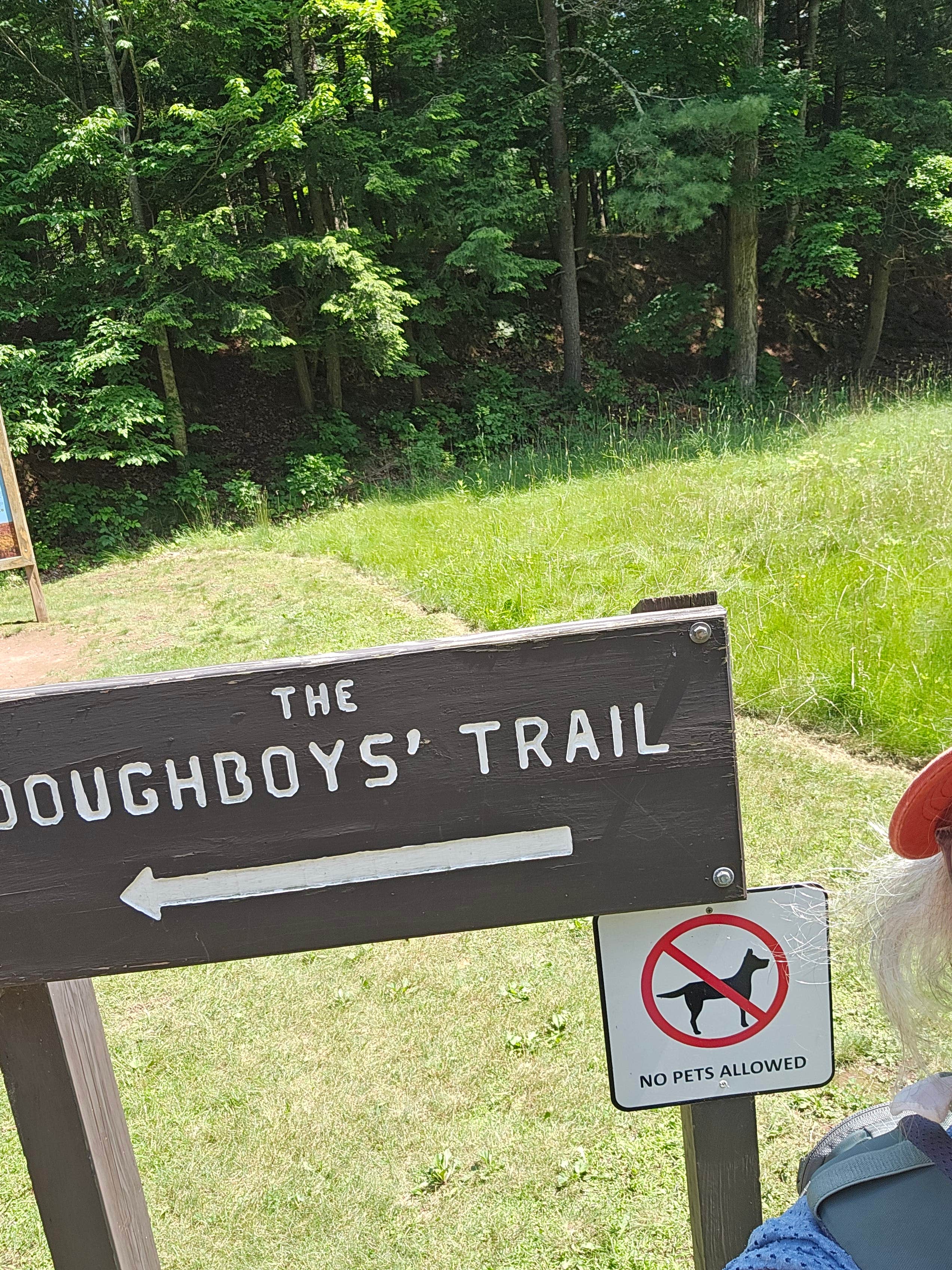 Paula's photo of camping with pets at Copper Falls State Park Campground near Ironwood, MI