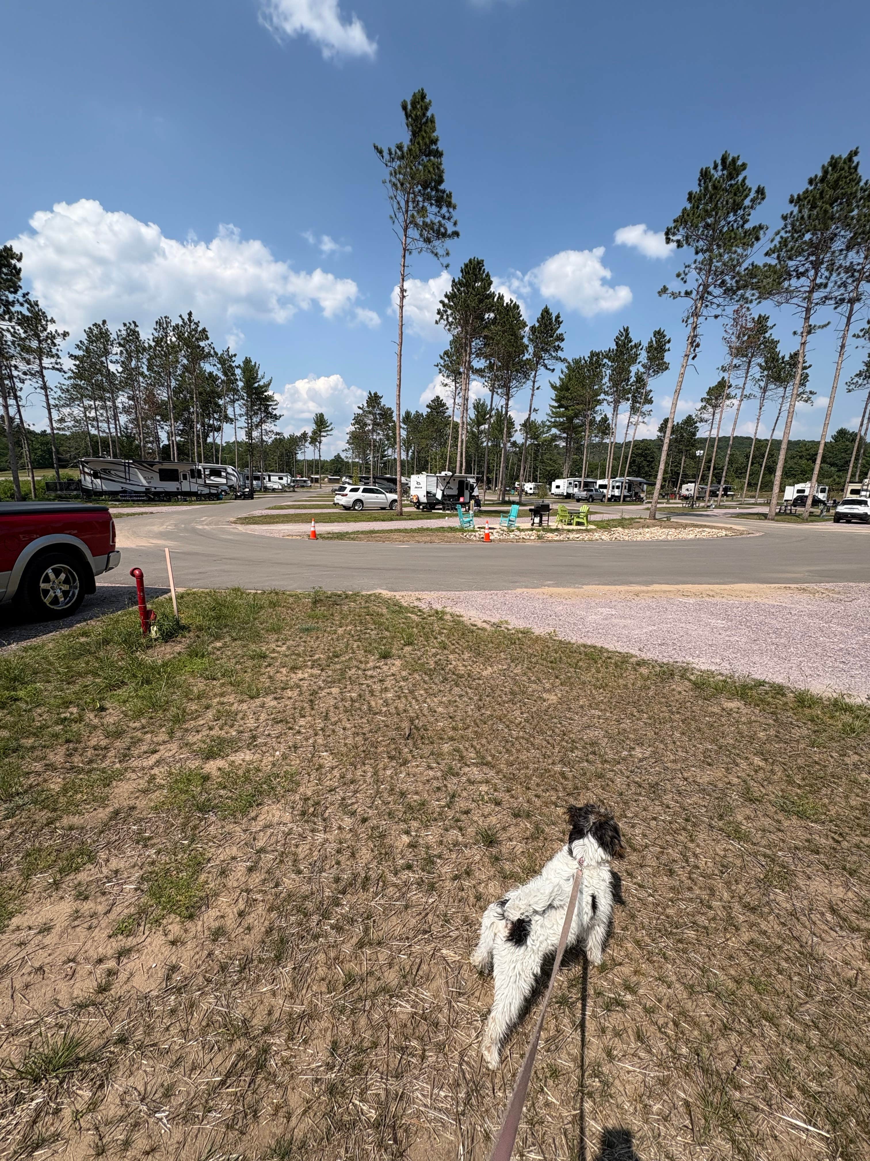 Jim C.'s photo of camping with pets at Wisconsin Dells KOA near Necedah, WI