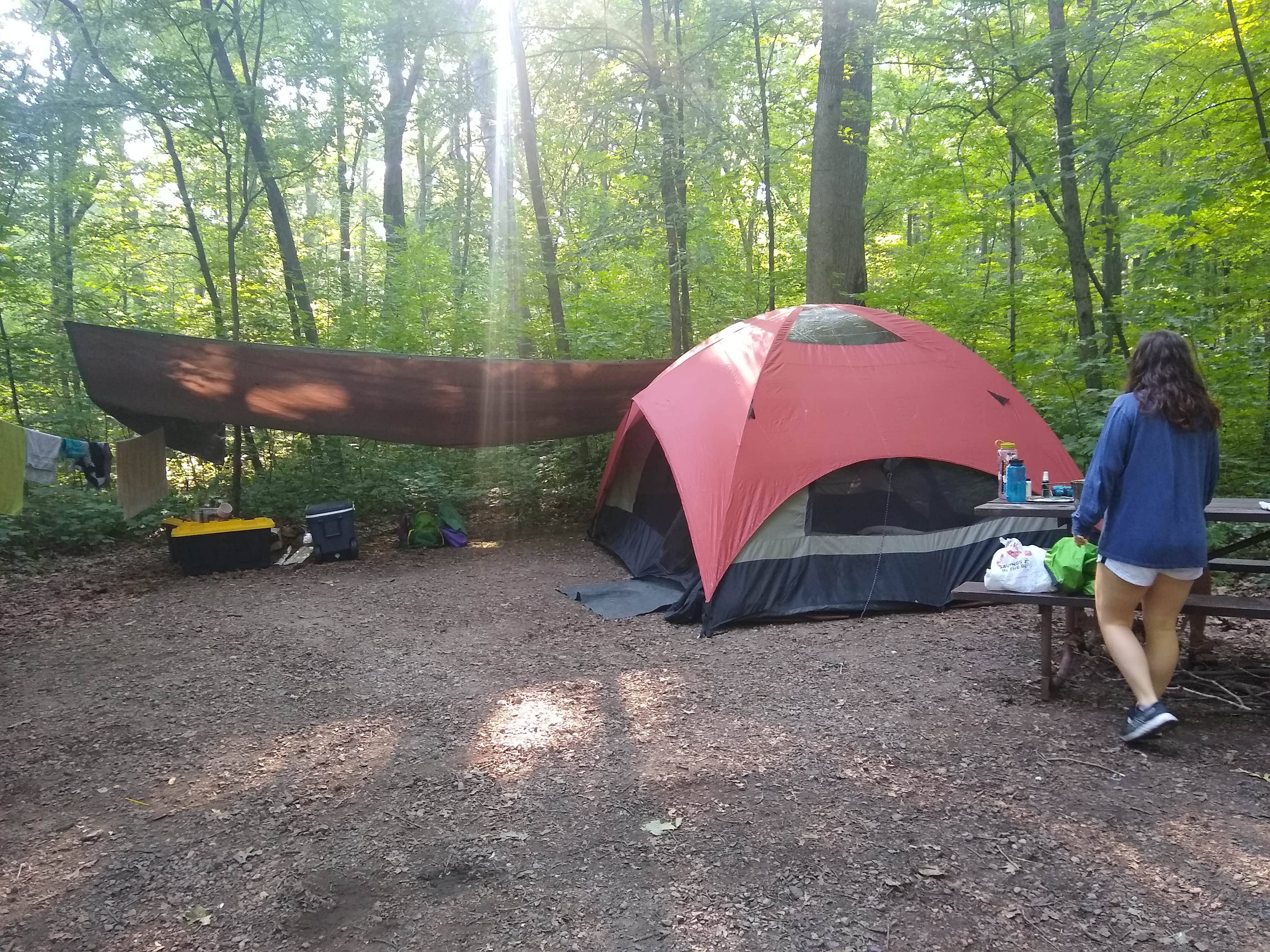 Sarah D.'s photo at Ice Age Campground — Devils Lake State Park near Lodi, WI