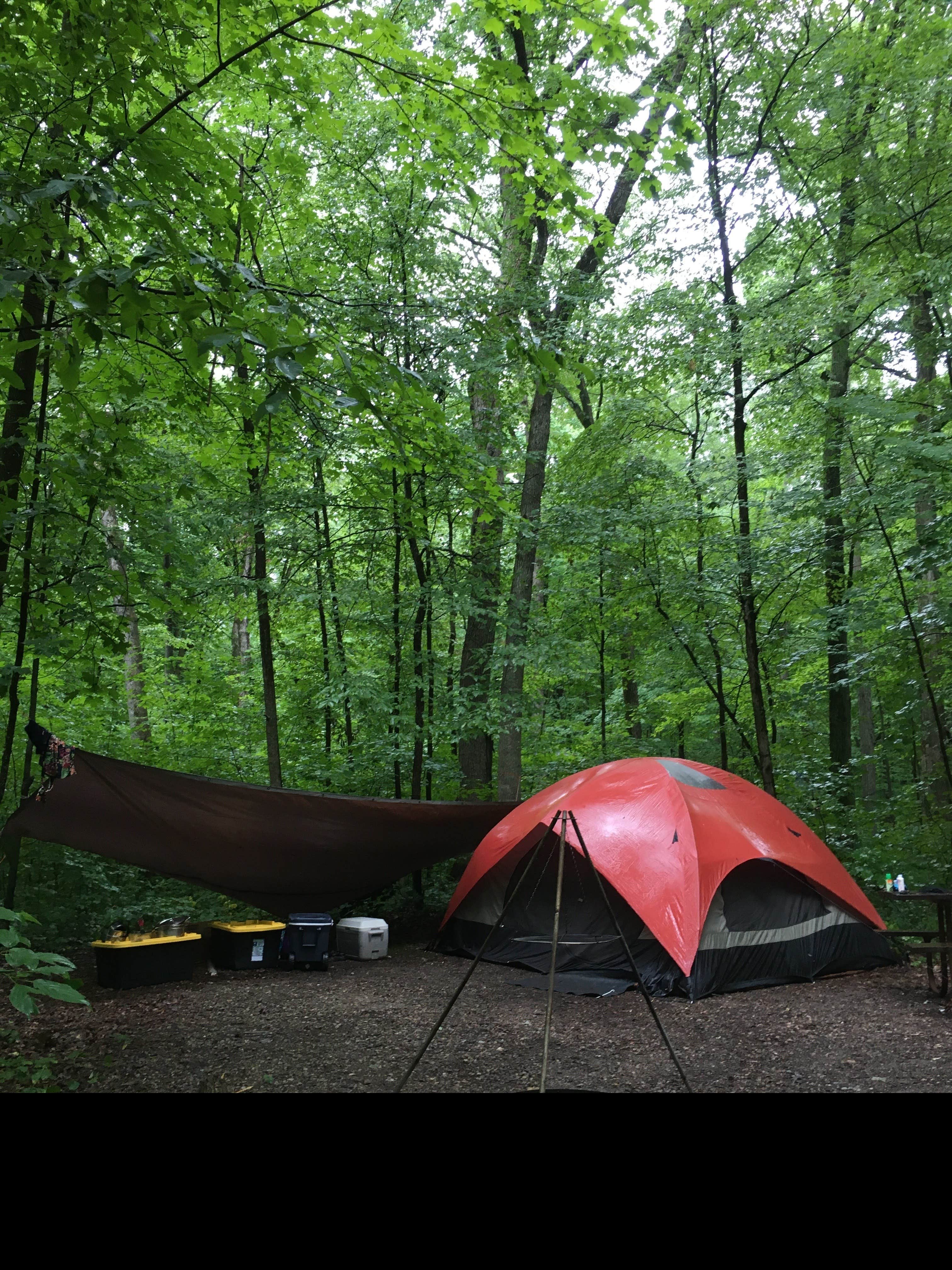 Sarah D.'s photo at Ice Age Campground — Devils Lake State Park near Portage, WI