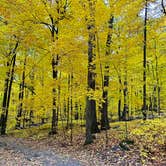 Review photo of Quartzite Campground — Devils Lake State Park by Brady J., October 24, 2023