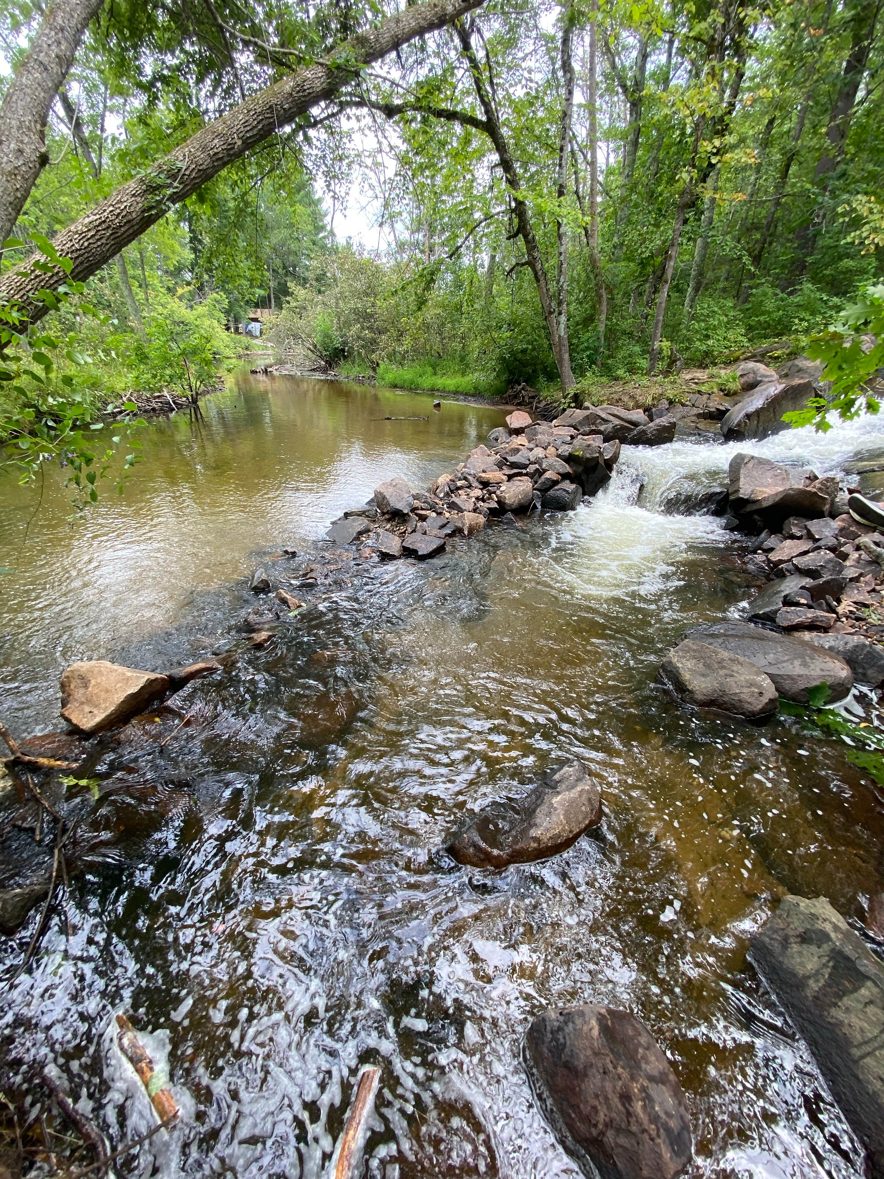 Camper-submitted photo at Chute Pond Park near Mountain, WI