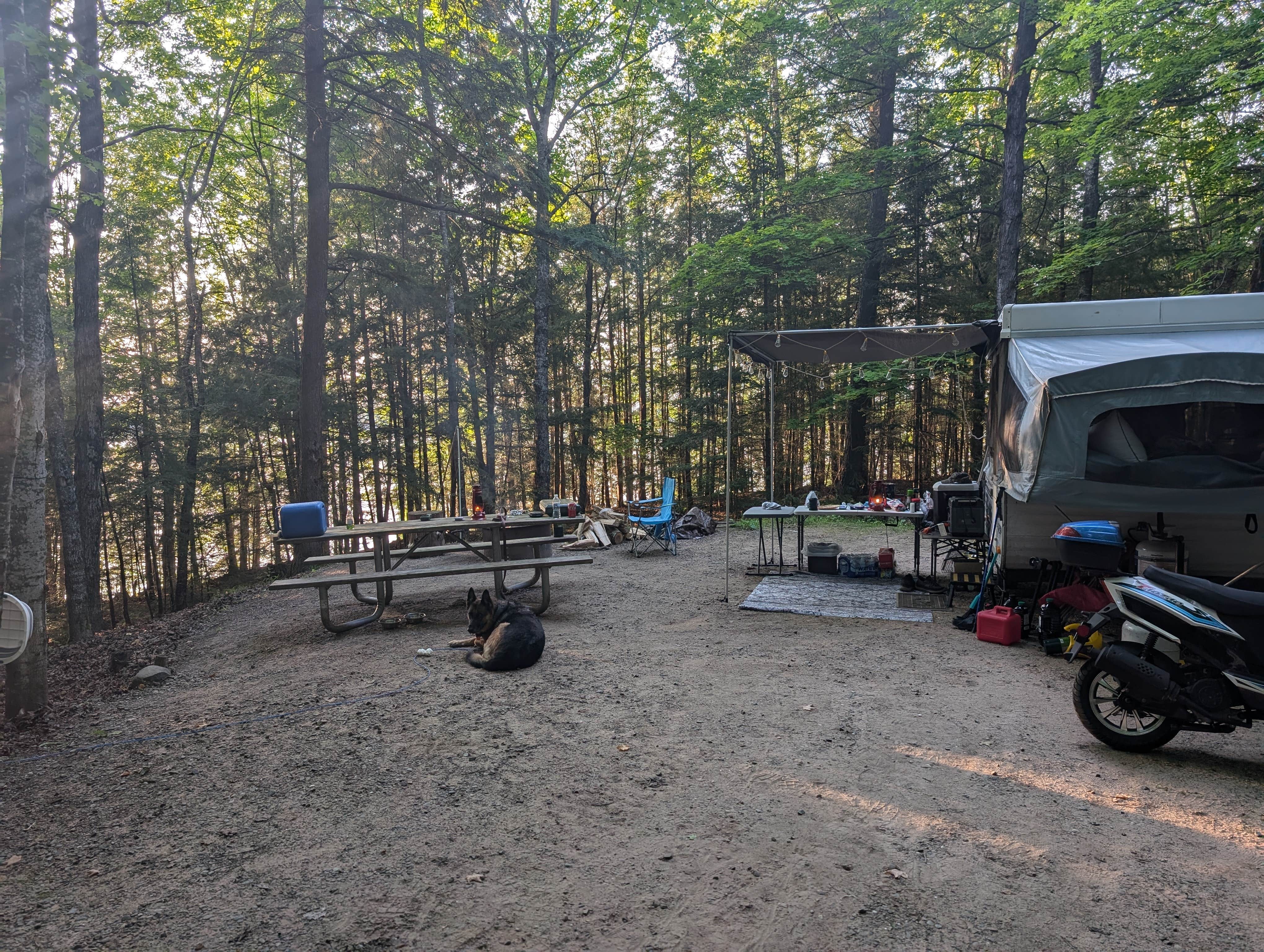 hesselinkj@yahoo.com's photo of camping with pets at Franklin Lake near Watersmeet, MI