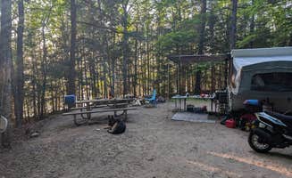 hesselinkj@yahoo.com's photo of camping with pets at Franklin Lake near Summit Lake, WI