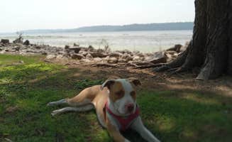 Dj Y.'s photo of camping with pets at Grant River Recreation Area near Galena, IL