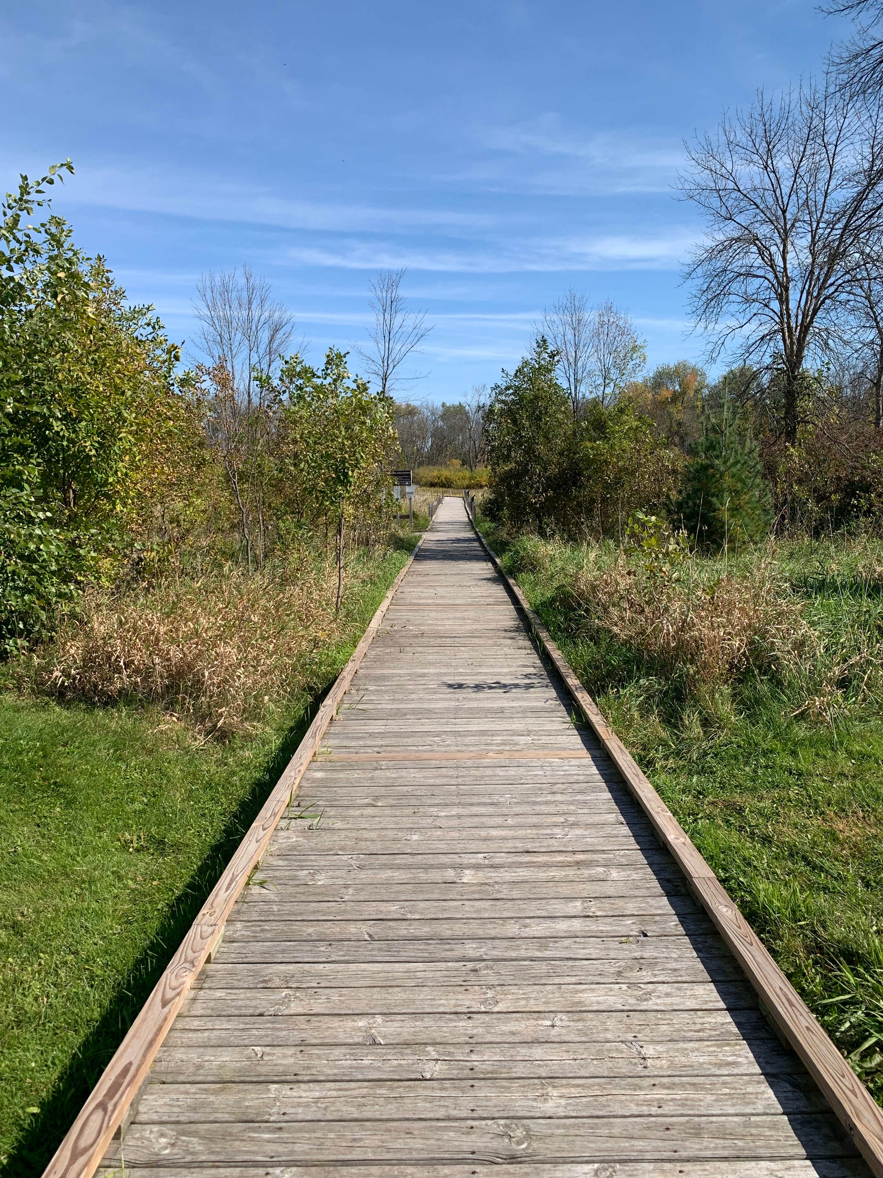 Camper submitted image from Harnischfeger County Park - 5