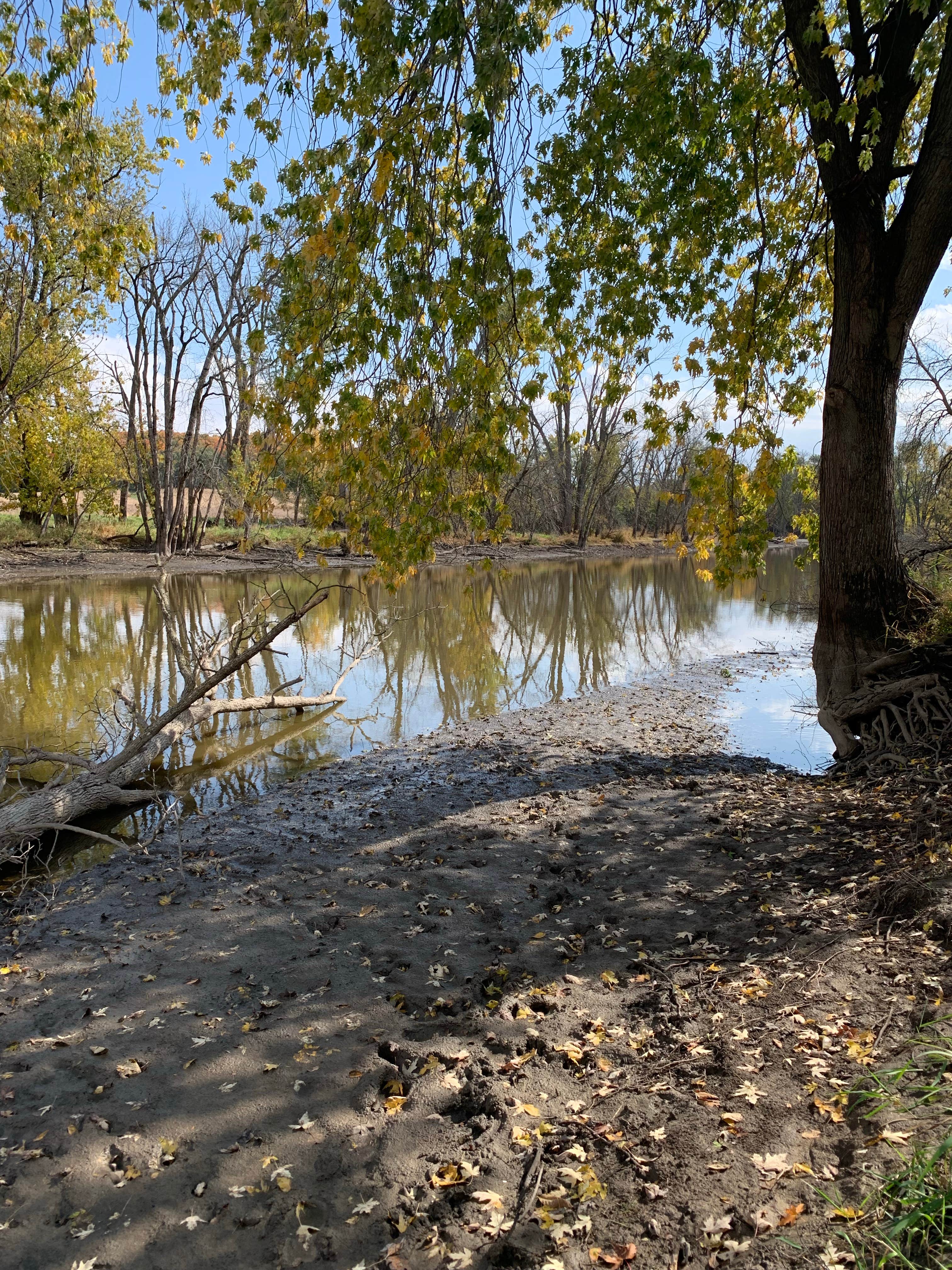 Camper submitted image from Harnischfeger County Park - 2