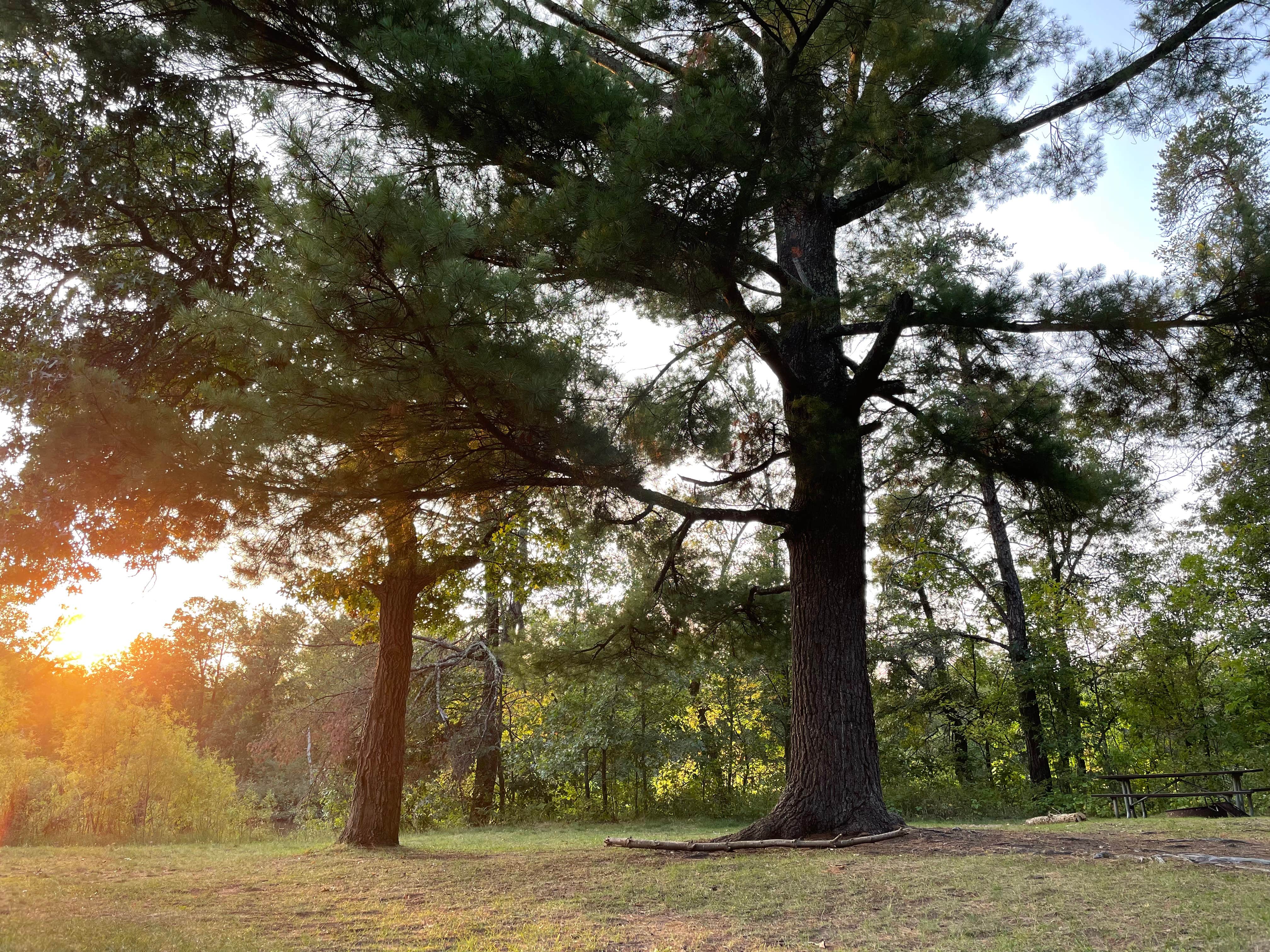 Camper-submitted photo at Howell Landing near Gordon, WI