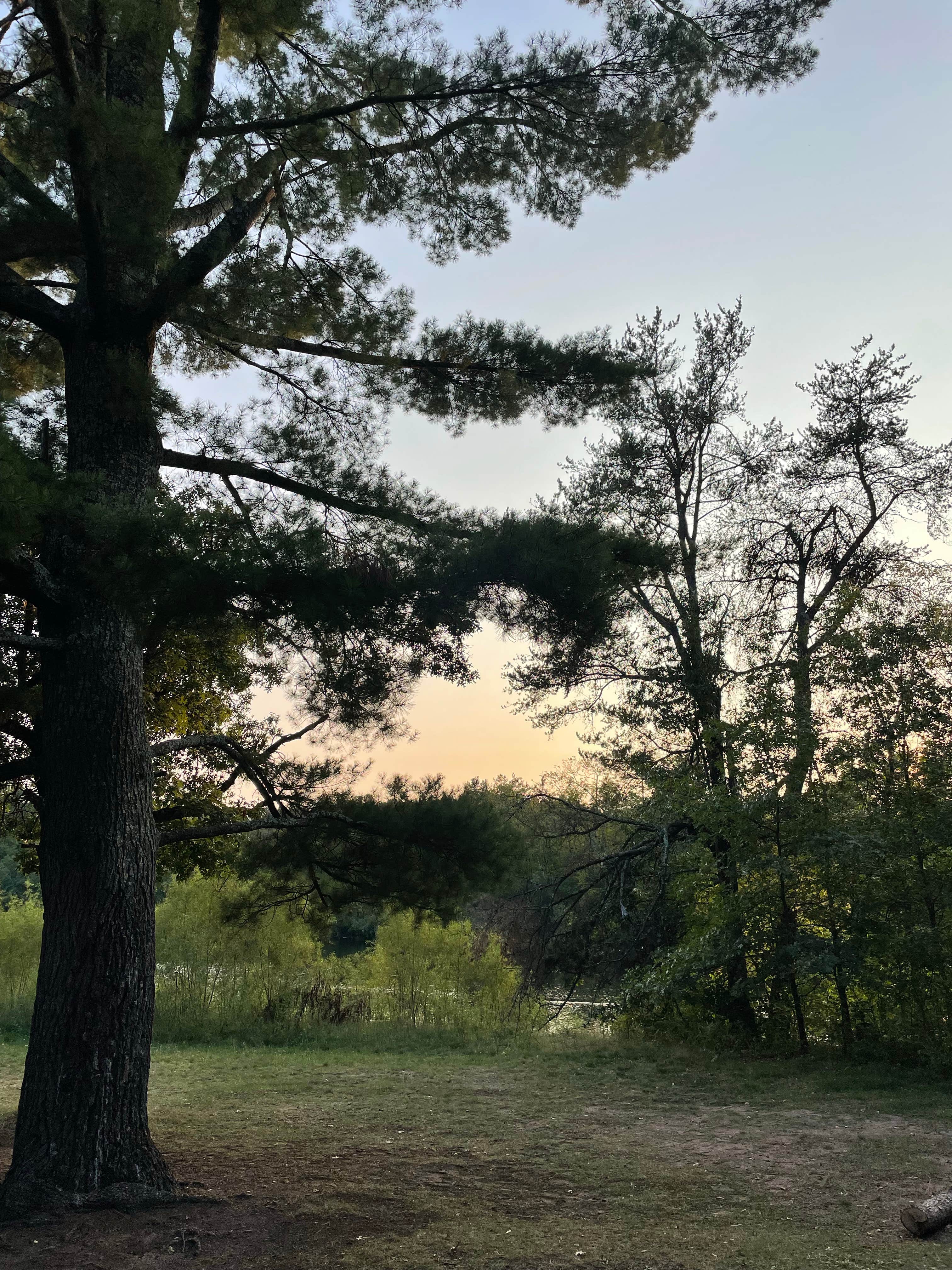 Camping near Anchor Woods Campground: Howell Landing, Trego, Wisconsin