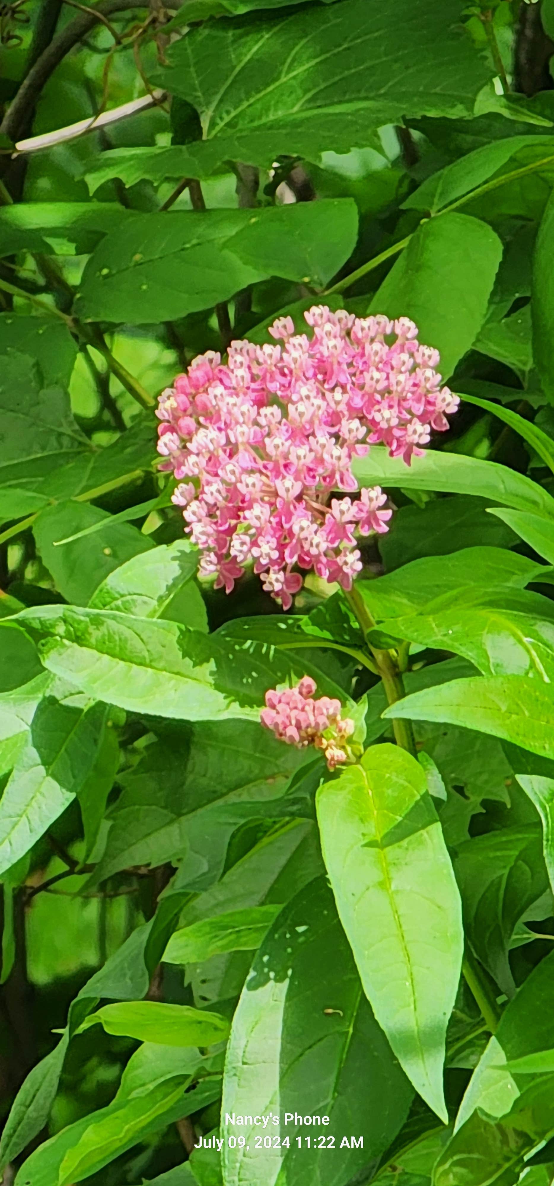 Camper-submitted photo at Kettle Moraine State Forest Long Lake Campground near Malone, WI