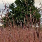 Review photo of Ottawa Lake Campground — Kettle Moraine State Forest-Southern Unit by Steve K., September 3, 2025