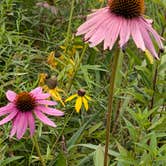 Review photo of Ottawa Lake Campground — Kettle Moraine State Forest-Southern Unit by Steve K., September 3, 2025