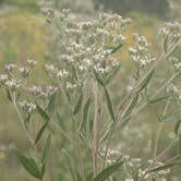 Review photo of Ottawa Lake Campground — Kettle Moraine State Forest-Southern Unit by Steve K., September 3, 2025