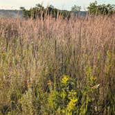 Review photo of Ottawa Lake Campground — Kettle Moraine State Forest-Southern Unit by Steve K., September 3, 2025