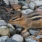 Review photo of Ottawa Lake Campground — Kettle Moraine State Forest-Southern Unit by Steve K., September 3, 2025