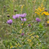 Review photo of Ottawa Lake Campground — Kettle Moraine State Forest-Southern Unit by Steve K., September 3, 2025