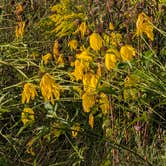 Review photo of Ottawa Lake Campground — Kettle Moraine State Forest-Southern Unit by Steve K., September 3, 2025