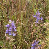 Review photo of Ottawa Lake Campground — Kettle Moraine State Forest-Southern Unit by Steve K., September 3, 2025