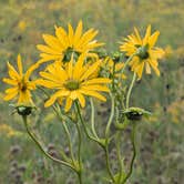 Review photo of Ottawa Lake Campground — Kettle Moraine State Forest-Southern Unit by Steve K., September 3, 2025