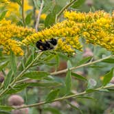 Review photo of Ottawa Lake Campground — Kettle Moraine State Forest-Southern Unit by Steve K., September 3, 2025