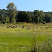 Review photo of Ottawa Lake Campground — Kettle Moraine State Forest-Southern Unit by Steve K., September 3, 2025