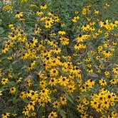 Review photo of Ottawa Lake Campground — Kettle Moraine State Forest-Southern Unit by Steve K., September 3, 2025