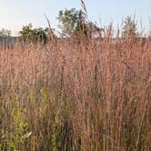 Review photo of Ottawa Lake Campground — Kettle Moraine State Forest-Southern Unit by Steve K., September 3, 2025