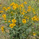 Review photo of Ottawa Lake Campground — Kettle Moraine State Forest-Southern Unit by Steve K., September 3, 2025
