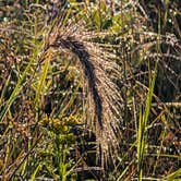 Review photo of Ottawa Lake Campground — Kettle Moraine State Forest-Southern Unit by Steve K., September 3, 2025