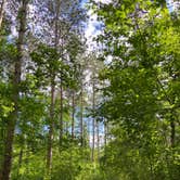 Review photo of Pinewoods Campground — Kettle Moraine State Forest-Southern Unit by Addison G., May 30, 2024