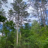 Review photo of Pinewoods Campground — Kettle Moraine State Forest-Southern Unit by Addison G., May 30, 2024