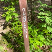 Review photo of Pinewoods Campground — Kettle Moraine State Forest-Southern Unit by Addison G., May 30, 2024