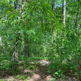 Review photo of Pinewoods Campground — Kettle Moraine State Forest-Southern Unit by Addison G., May 30, 2024