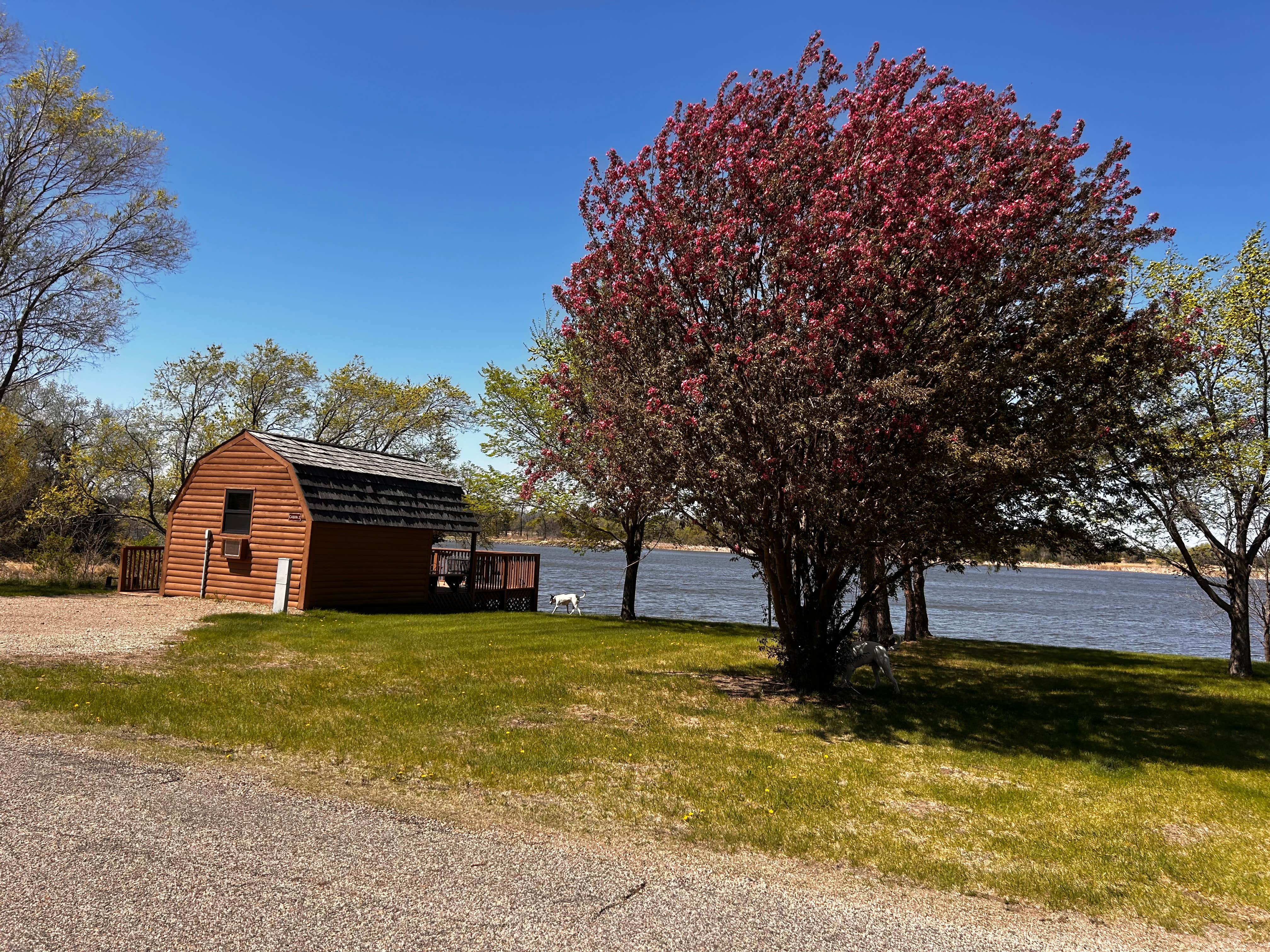 Sharon K.'s photo of camping with pets at Kreher RV Park near Cornucopia, WI