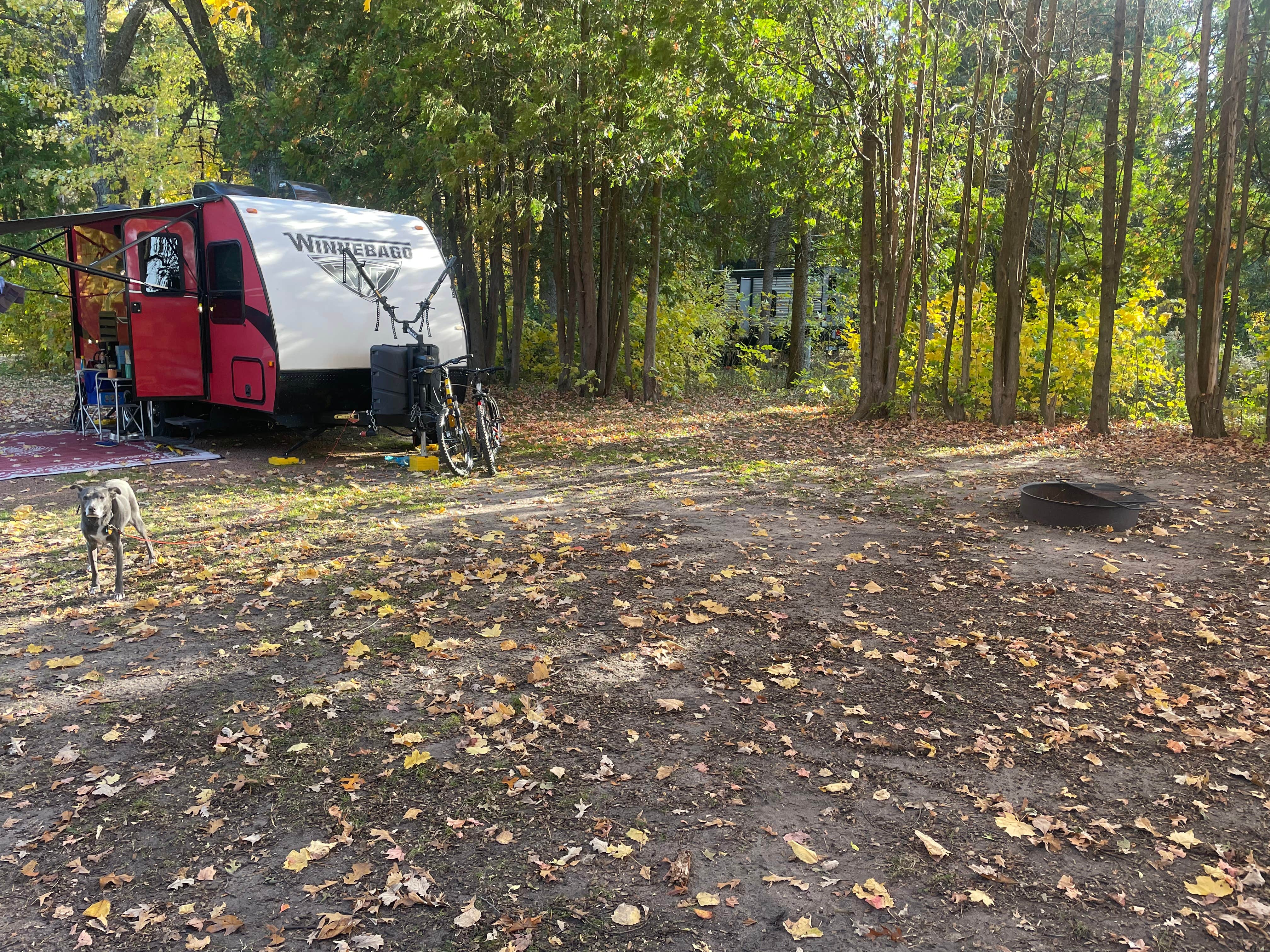 C N.'s photo of rv camping at Lake Emily Park near Milladore, WI