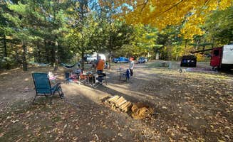 C N.'s photo of camping with pets at Lake Emily Park near Nekoosa, WI