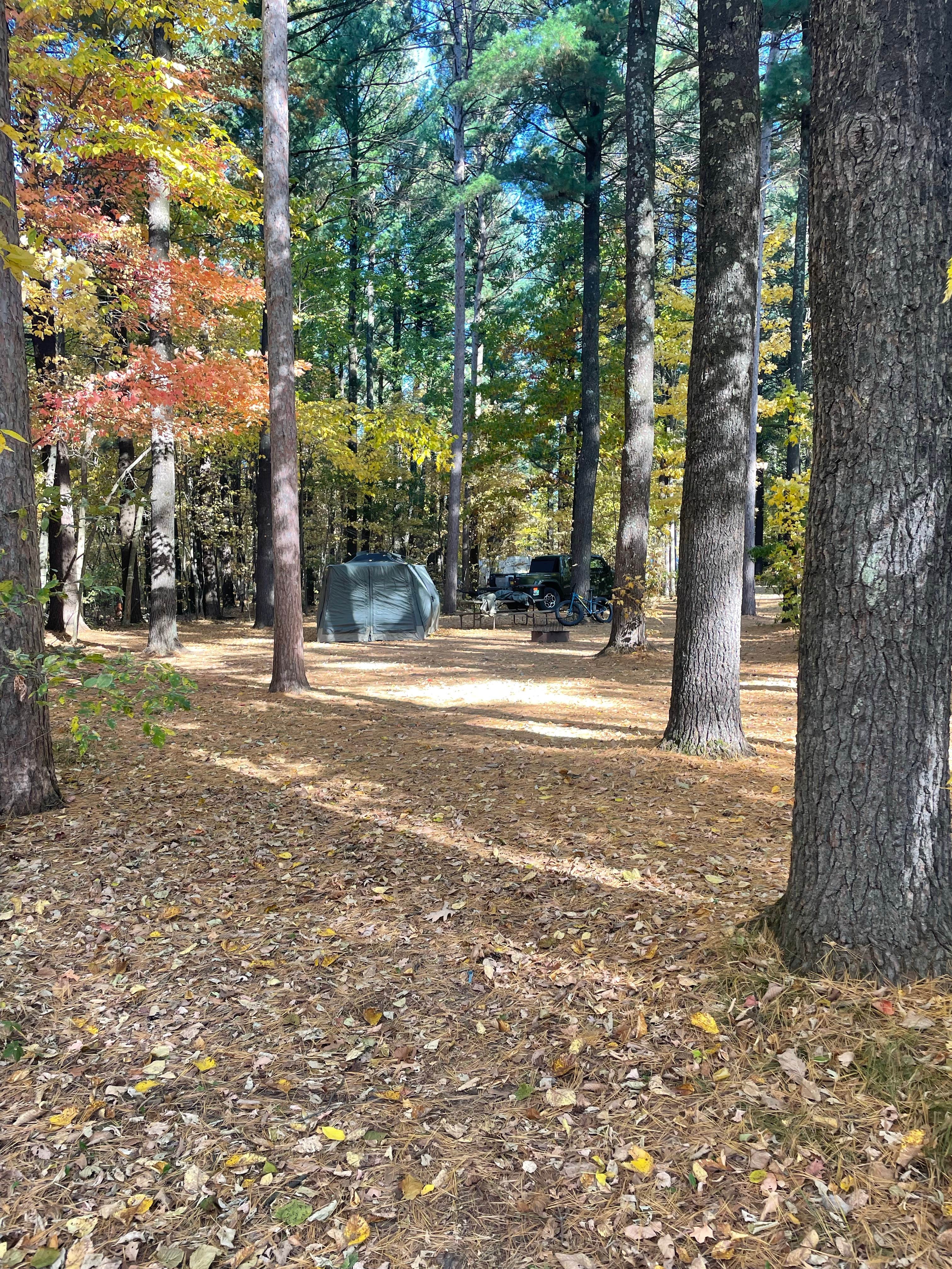 C N.'s photo at Lake Emily Park near Wisconsin Rapids, WI
