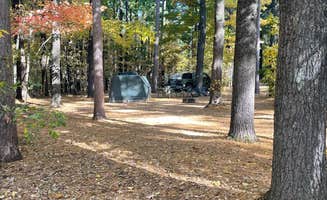 C N.'s photo at Lake Emily Park near Hortonville, WI