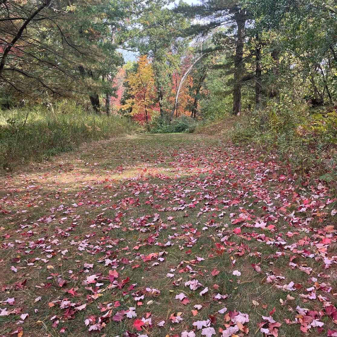 Lake Kegonsa State Park Campground | Stoughton, WI