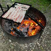 Review photo of Lake Kegonsa State Park Campground by Brendan E., July 27, 2025