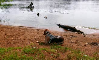Delanie F.'s photo of camping with pets at Lake Wissota State Park Campground near Menomonie, WI