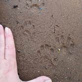 Review photo of Lake Wissota State Park Campground by Shelby D., May 5, 2026