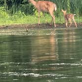 Review photo of Lake Wissota State Park Campground by Jason Z., September 25, 2023