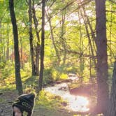 Review photo of Lake Wissota State Park Campground by Jason Z., September 25, 2023