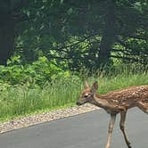 Review photo of Lake Wissota State Park Campground by Jason Z., September 25, 2023