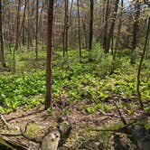 Review photo of Lake Wissota State Park Campground by Shelby D., May 5, 2026